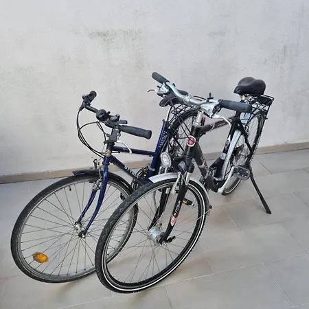 Business Class Alloggio in famiglia